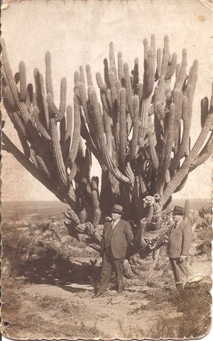 Joseph v poušti_in desert
